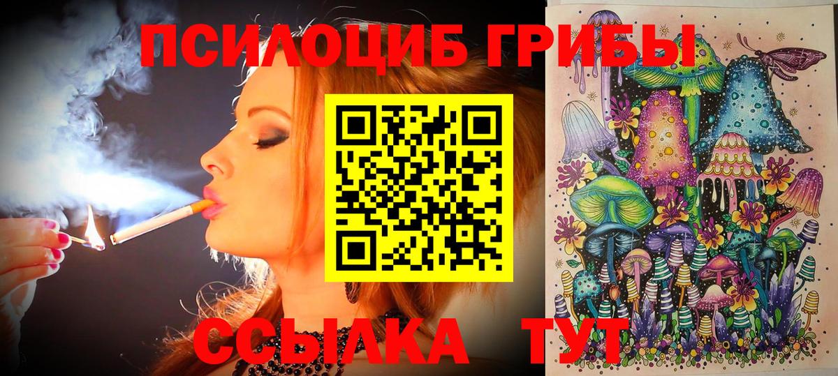 Псилоцибиновые грибы мицелий  Вход с VPN  Чайковский  Псилоцибиновые грибы Magic Shrooms 